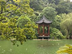-云溪植物园