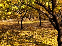 -长春公园(普阳街道)