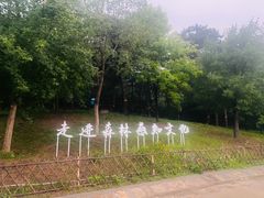 -北京西山国家森林公园