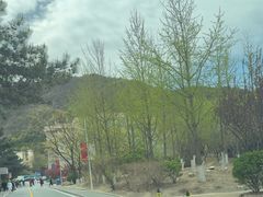 -中国人民解放军总医院第八医学中心