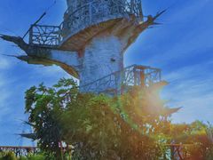 -芒洲湿地公园