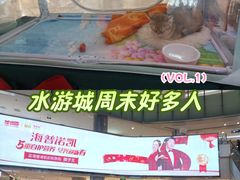 -鹏欣水游城