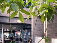 -大渔·观筵(三里屯太古里店)