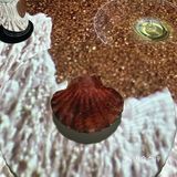 米其林三星黑珍珠二钻，上海蕞贵餐厅原来是TA