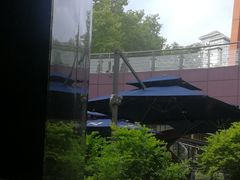 -bluefrog蓝蛙(水游城店)