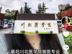 -约翰·菲茨杰拉德·肯尼迪国际机场