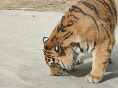 -南京金牛湖风景区