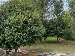 -梁鸿国家湿地公园