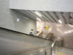 -上海游泳馆(地铁站)