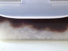 -随柳居·苏式小吃(建新巷店)