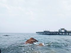 -北戴河碧螺塔海上酒吧公园