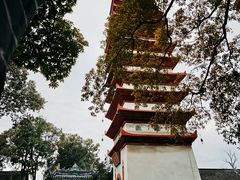 -宝光寺