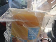 -桐园果汇(湖贝店)