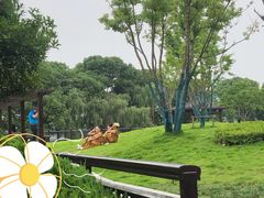-金银湖国家城市湿地公园