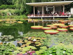 -国家植物园南园