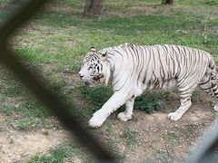 -秦皇岛野生动物园