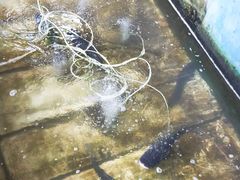 -姥家大锅台水库渔家