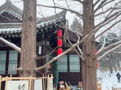 -元大都城垣遗址公园