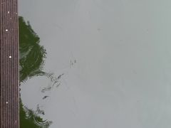 -紫霞湖公园