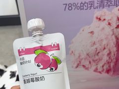 -白色日记·手作酸奶(麦凯乐店)