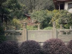 -十八棵（老龙井）御茶园(老龙井店)