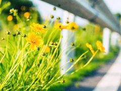 -浙江绿城心血管病医院