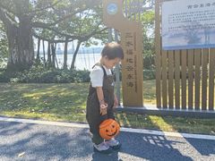 -云溪植物园