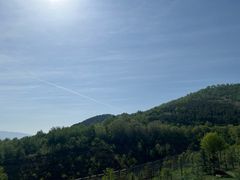-青藏高原野生动物园