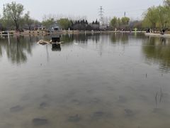 -太阳宫公园
