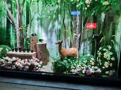 -Sony Store 索尼(上海淮海中路店)