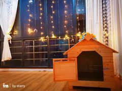 -Husky Go! 哈士奇体验馆·宠物咖啡厅狗咖