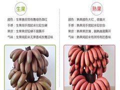 -南京众彩农副产品配送有限公司