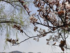 -南北湖风景区