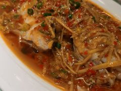 -雀蓝川菜(奥体广场店)