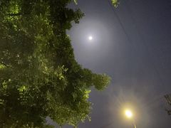 -碧桂园嘉誉