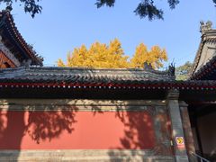 -承恩寺