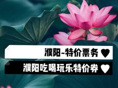 -水秀国际大剧院