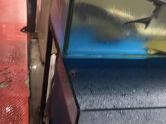 -关东海鲜(自由大路店)