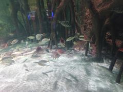 -苏州海洋馆