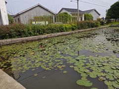 -米果果小镇