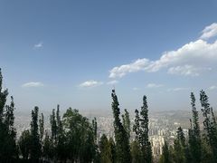 -兰山公园