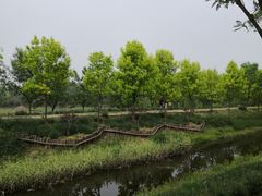 -东郊湿地公园