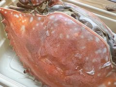 -开海·红岛海鲜虾水饺(石老人店)
