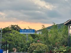 -蘇河湾·新鲁菜·泰山宴(泰山店)