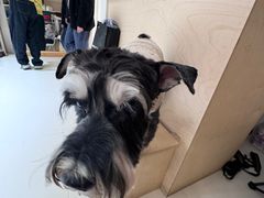 -闽江夜游台江旅游码头