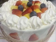 -维尔纳斯·生日蛋糕·动物奶油冰淇淋蛋糕(雨花店)