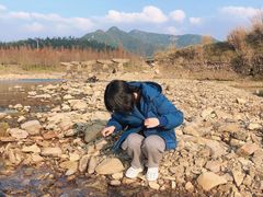 -小芝红树林