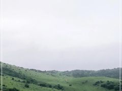 -大姆山草场