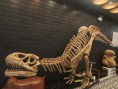 -FAIRYLAND龙族星球主题餐厅(凯丹广场店)