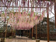 -济南方特东方神画